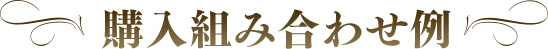 購入組み合わせ例