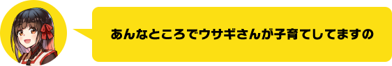 あんなところでウサギさんが子育てしてますの