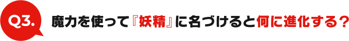 Q3:魔力を使って『妖精』に名づけると何に進化する？