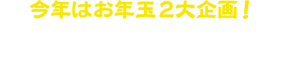 今年はお年玉2大企画！クーポンでお得にお買い物&豪華賞品の当たるキャンペーンにぜひご参加ください！