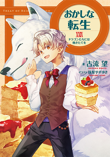 小説29巻